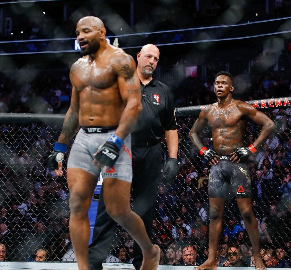 MrTestoestrogen tweet media