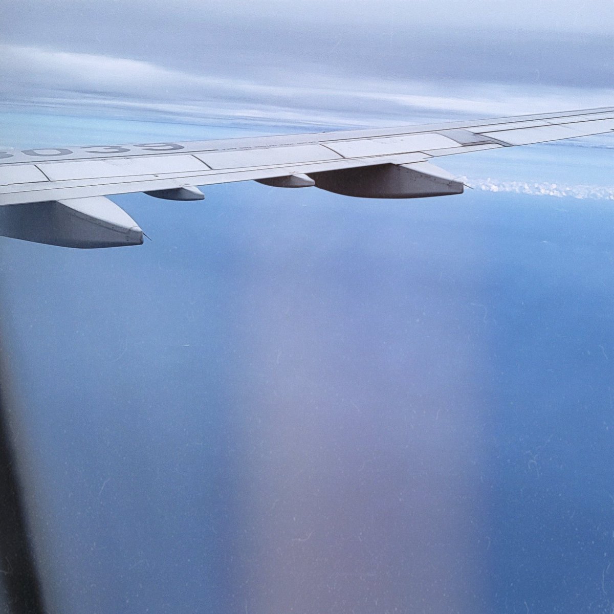 삿🏴☠️ tweet media