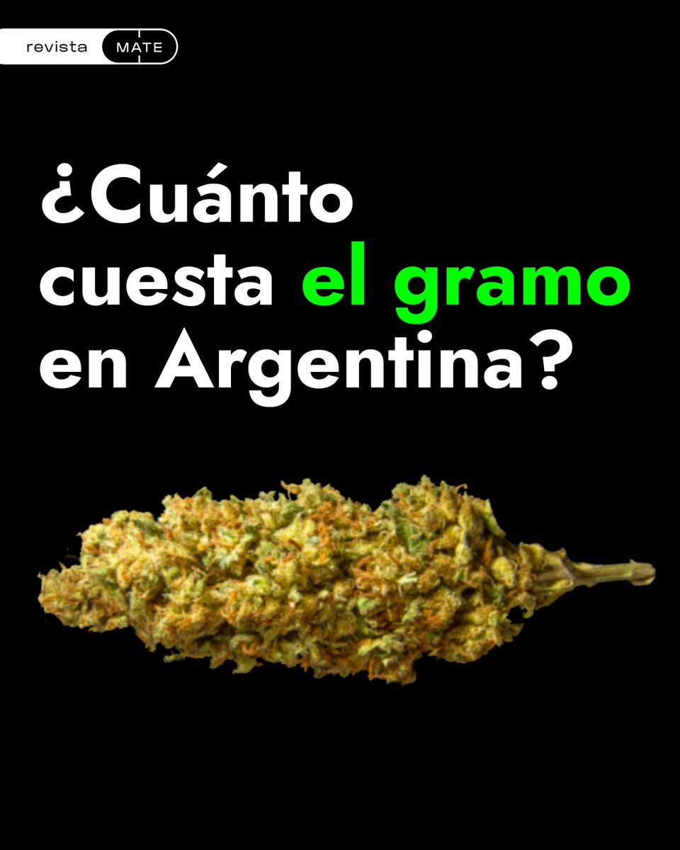 Vos sabés ➡️ forms.gle/4xnBjCTRFewT6z…

Contestá la encuesta para conocer el precio del gramo de flores de cannabis en Argentina. Te lleva menos de 2 minutos y es anónima.

👉🏻 Los datos personales no son recolectados y los resultados serán utilizados con fines periodísticos.