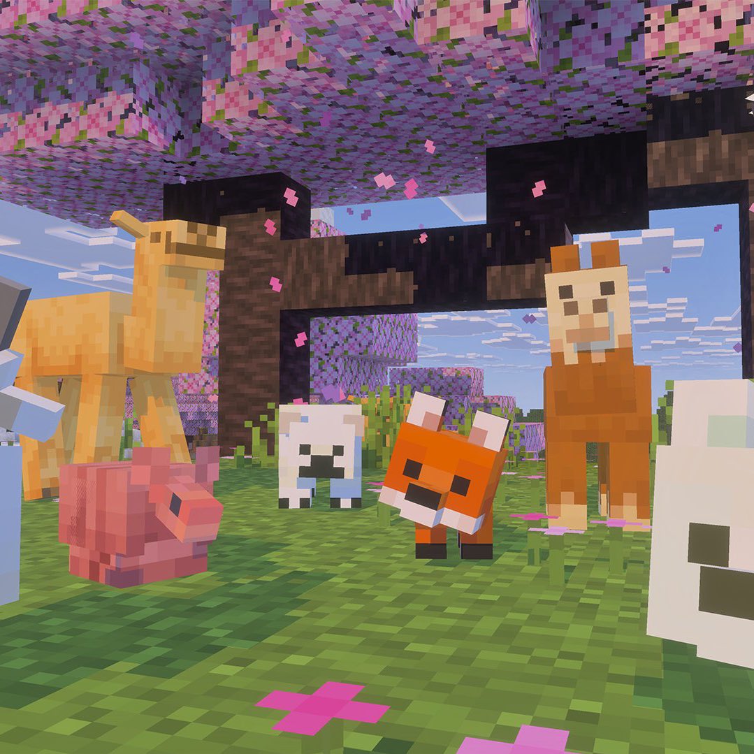 sam 🪽 tweet media