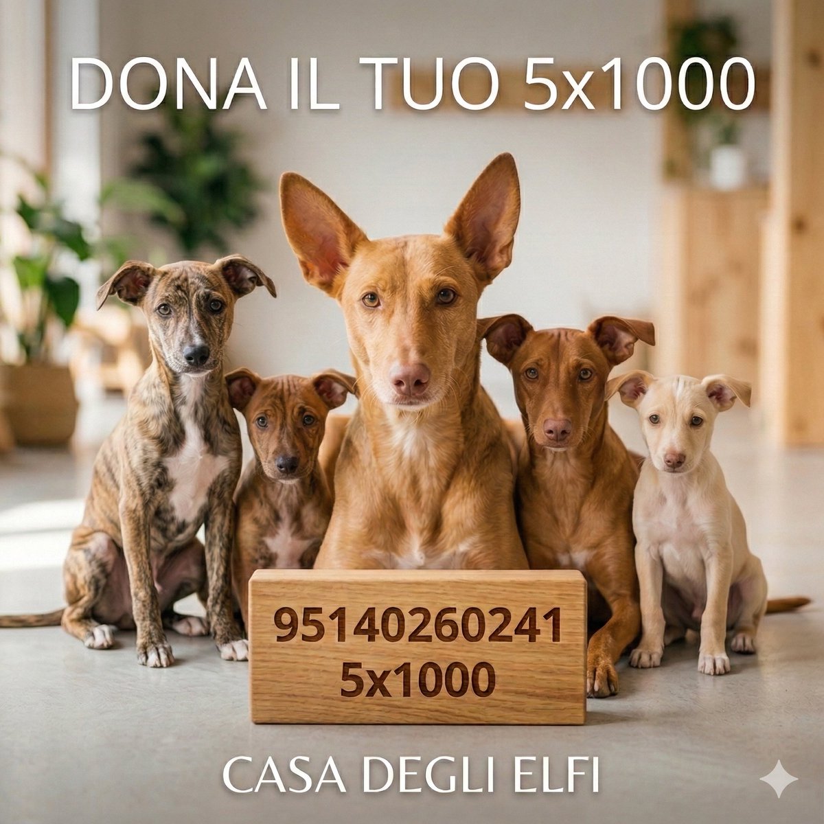 1. 𝐅𝐢𝐫𝐦𝐚 nel riquadro dedicato al "Sostegno degli Enti del Terzo Settore" (ex volontariato).
2.  𝐈𝐧𝐬𝐞𝐫𝐢𝐬𝐜𝐢 𝐢𝐥 𝐂𝐨𝐝𝐢𝐜𝐞 𝐅𝐢𝐬𝐜𝐚𝐥𝐞 di Casa degli Elfi: 𝟗𝟓𝟏𝟒𝟎𝟐𝟔𝟎𝟐𝟒𝟏.