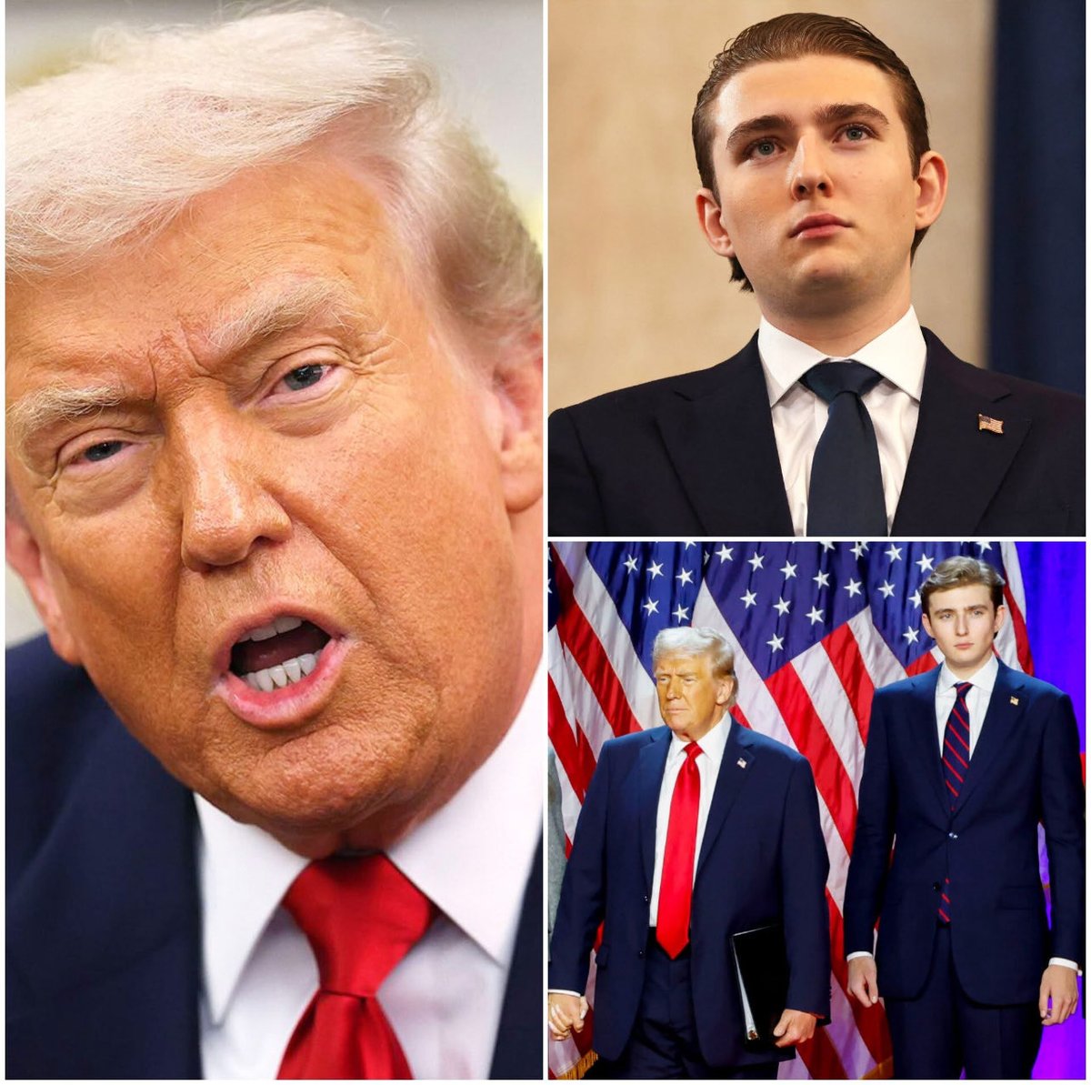 Olena Rohoza tweet media