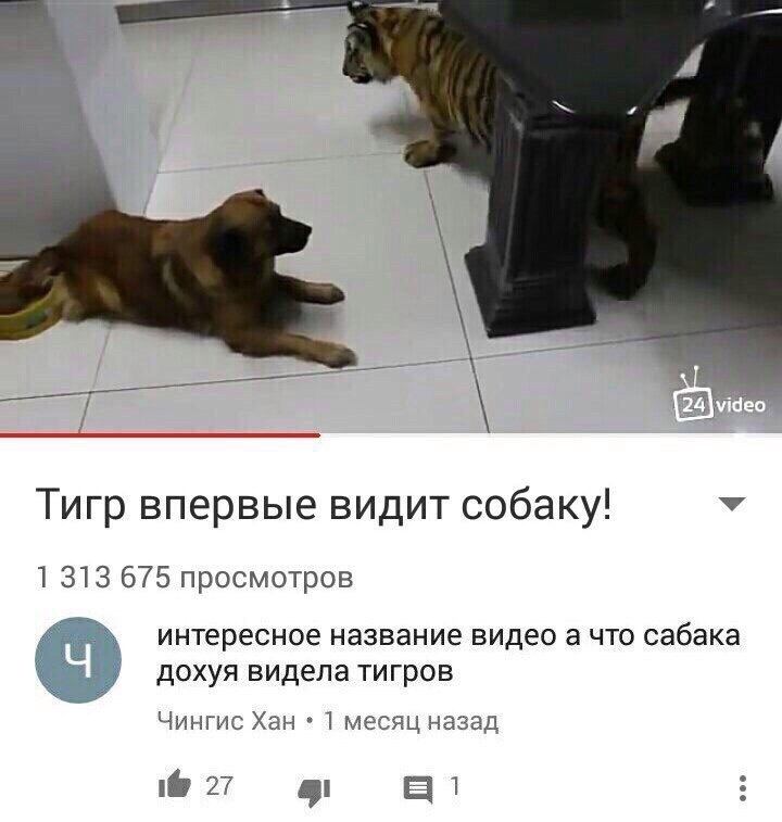 дИван tweet media