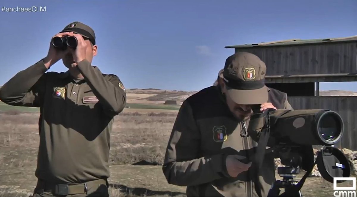 Agentes Medioambientales CLM tweet media