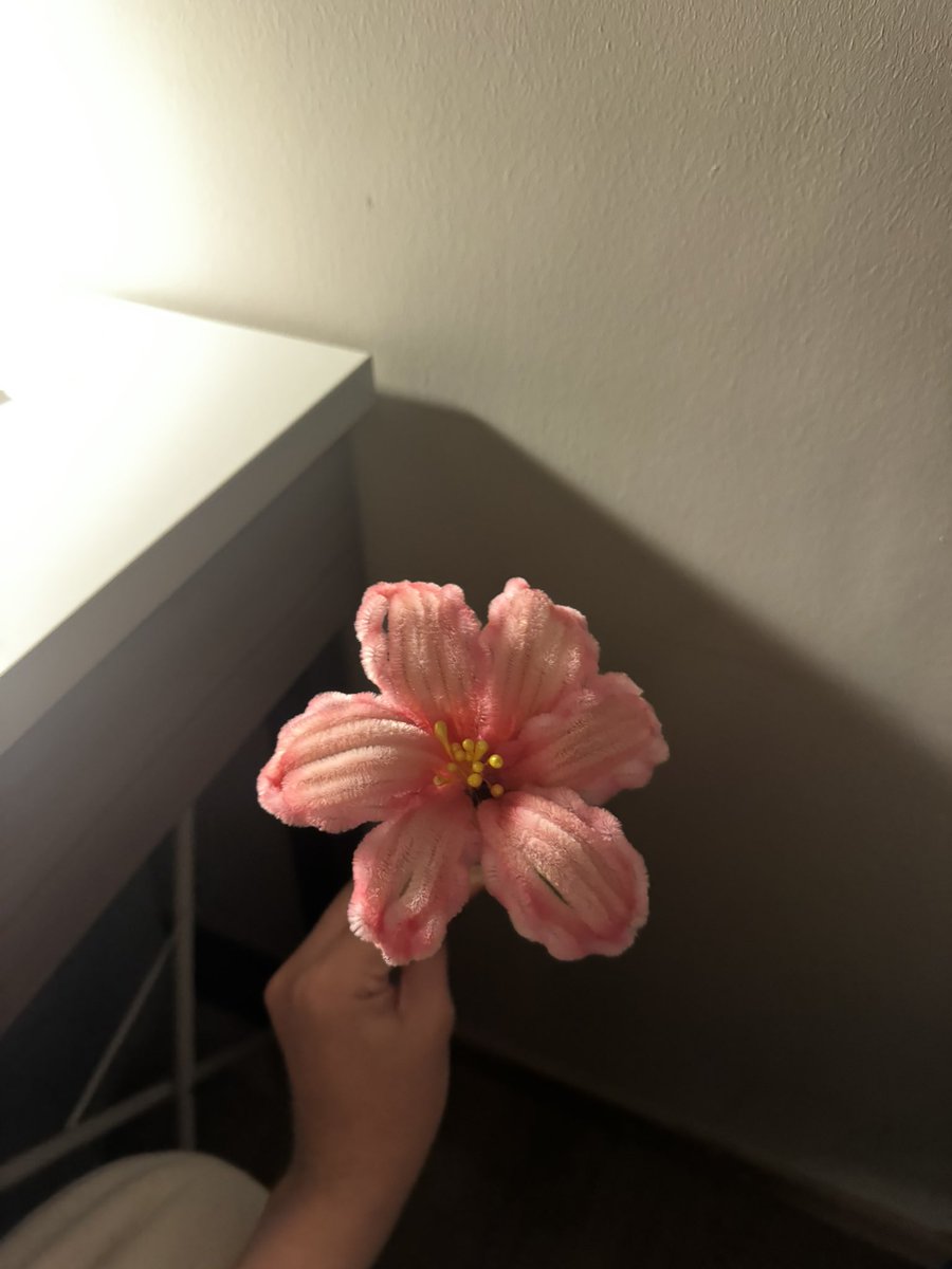 Ghadi👷🏻‍♀️ tweet media