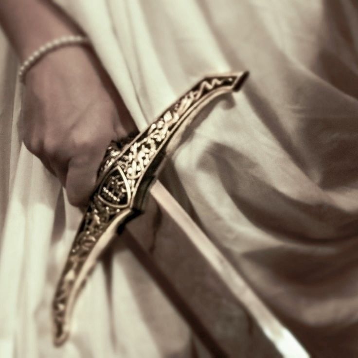 𓃦 ᵎᵎ tweet media