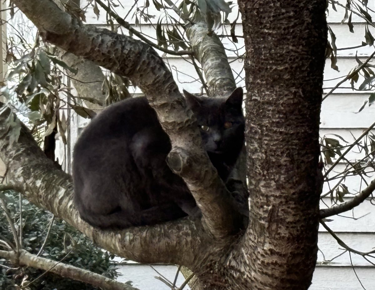 Kristi K. Higgins 🦋 tweet media