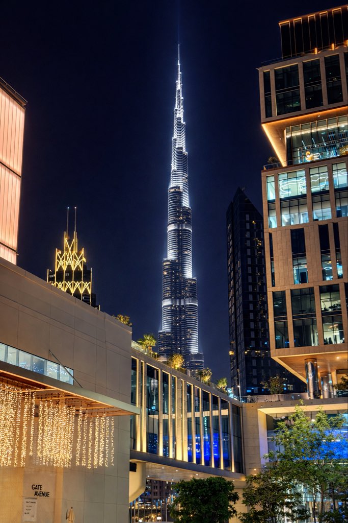 BRITISH HODL ❤️‍🔥🐂❤️‍🔥 tweet media