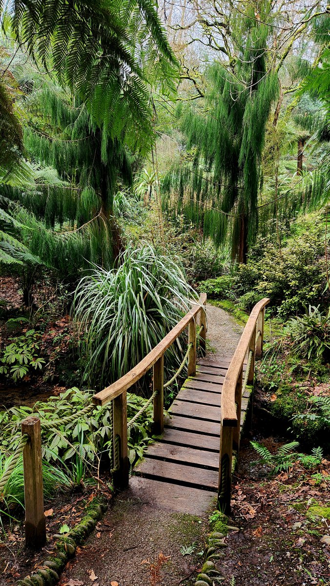DebsEverton's tweet photo. No service here out in the gardens...... https://t.co/WbkrUVyoz6
