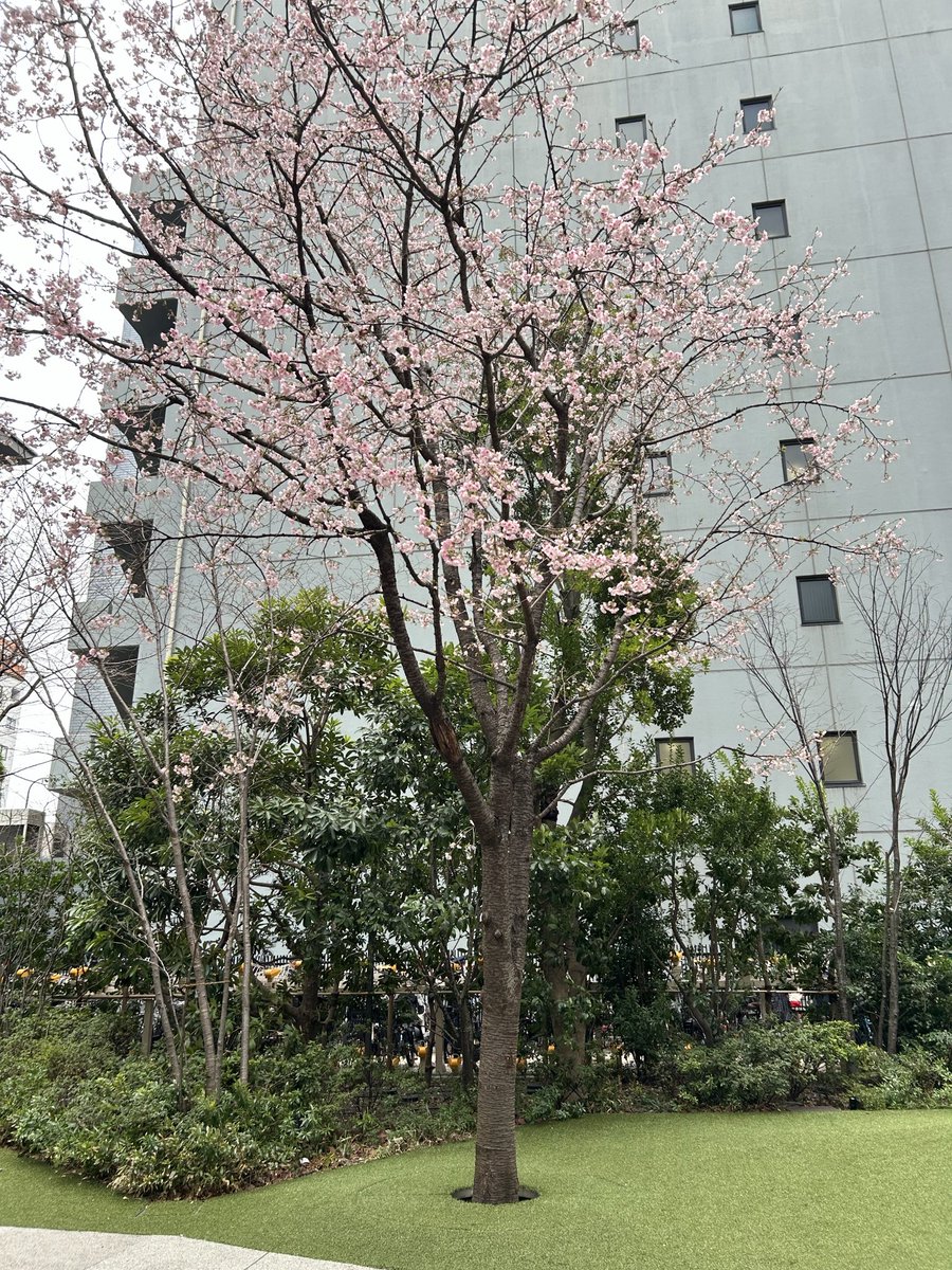 あれ、今日使った掃除機、元に戻してきた記憶がない。