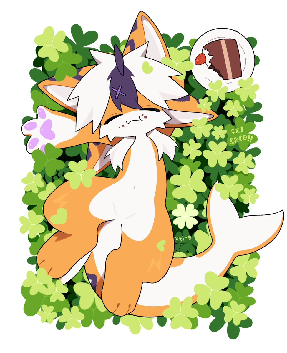 燈籠(^._.^)ﾉ🏮🐾🐾 tweet media