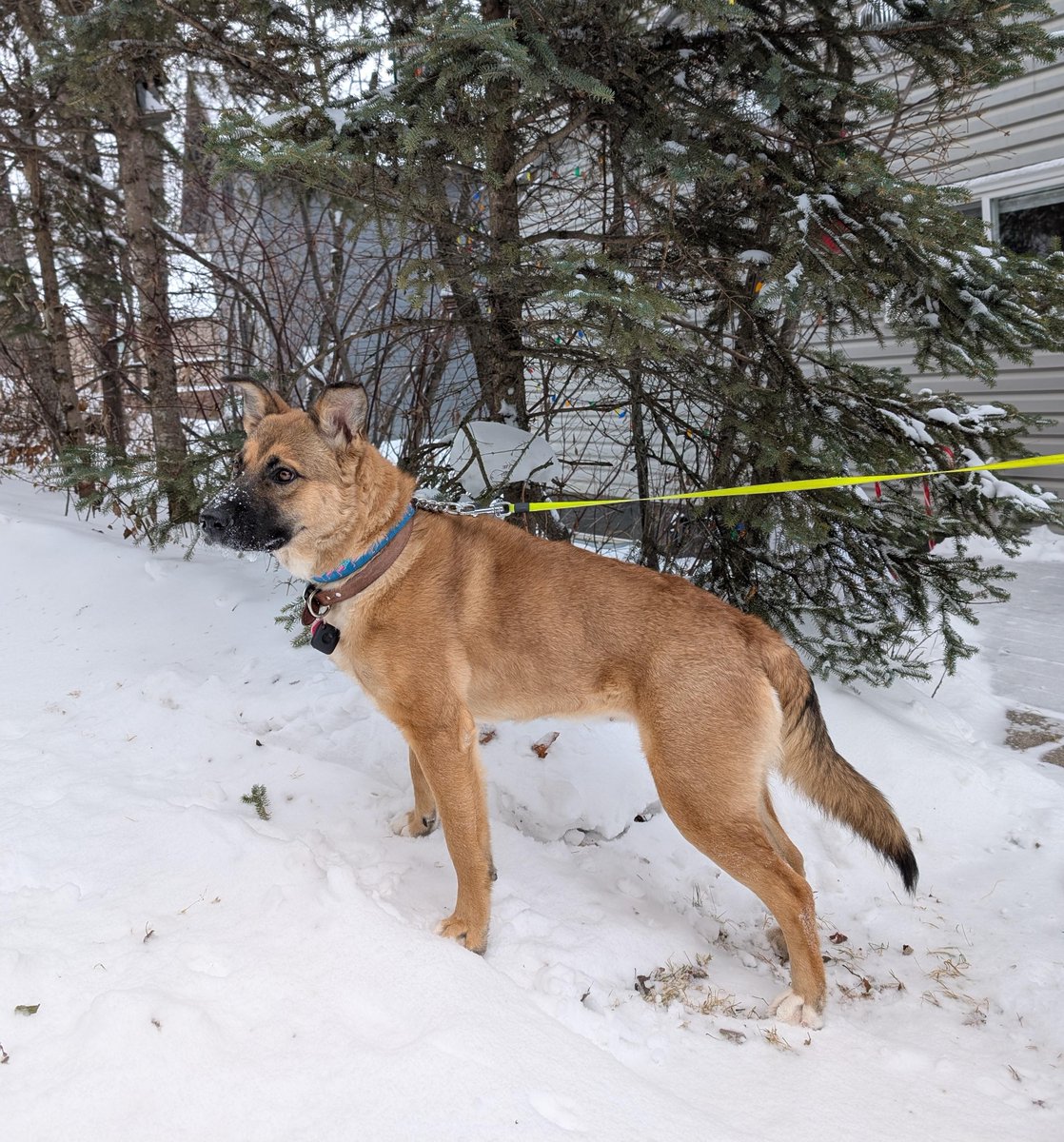 98 COOL fm tweet media