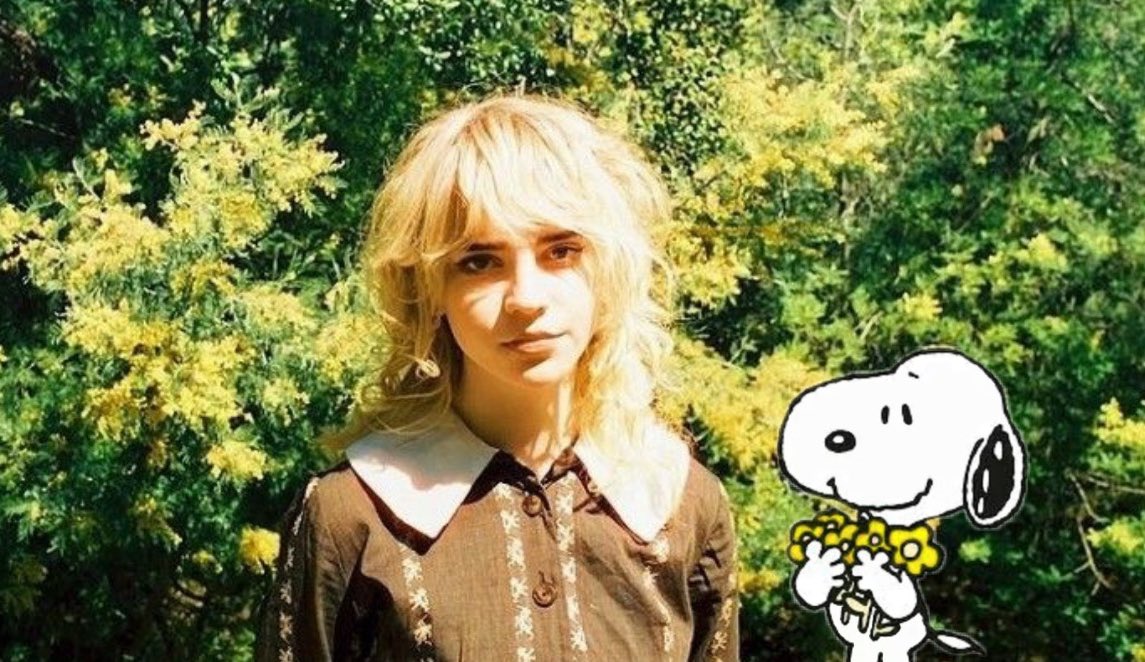 snoapy nation tweet media