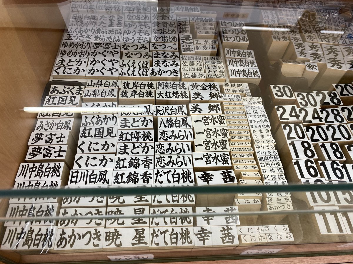 ももりンゴ🍑🍎🐈🐈‍⬛🐈‍⬛🐈🦆🦆🦆🐟🦐 tweet media