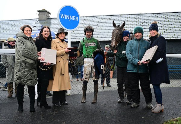 Willie Mullins tweet media