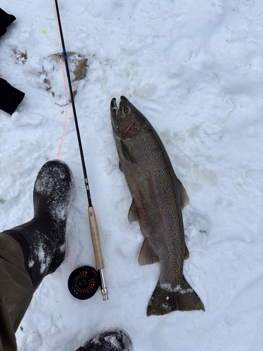 Matt Casto tweet media