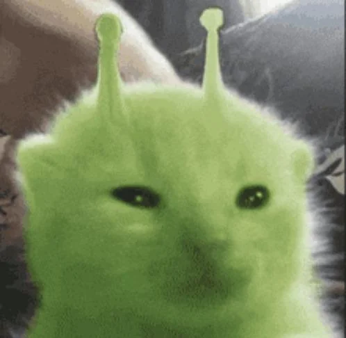 CrisppyBoat's tweet photo. hello twitter I come to you with a question, who owns glorp?? who made the original edit of this cat, because I can't seem to find that info at all!! https://t.co/iwocXZokmv