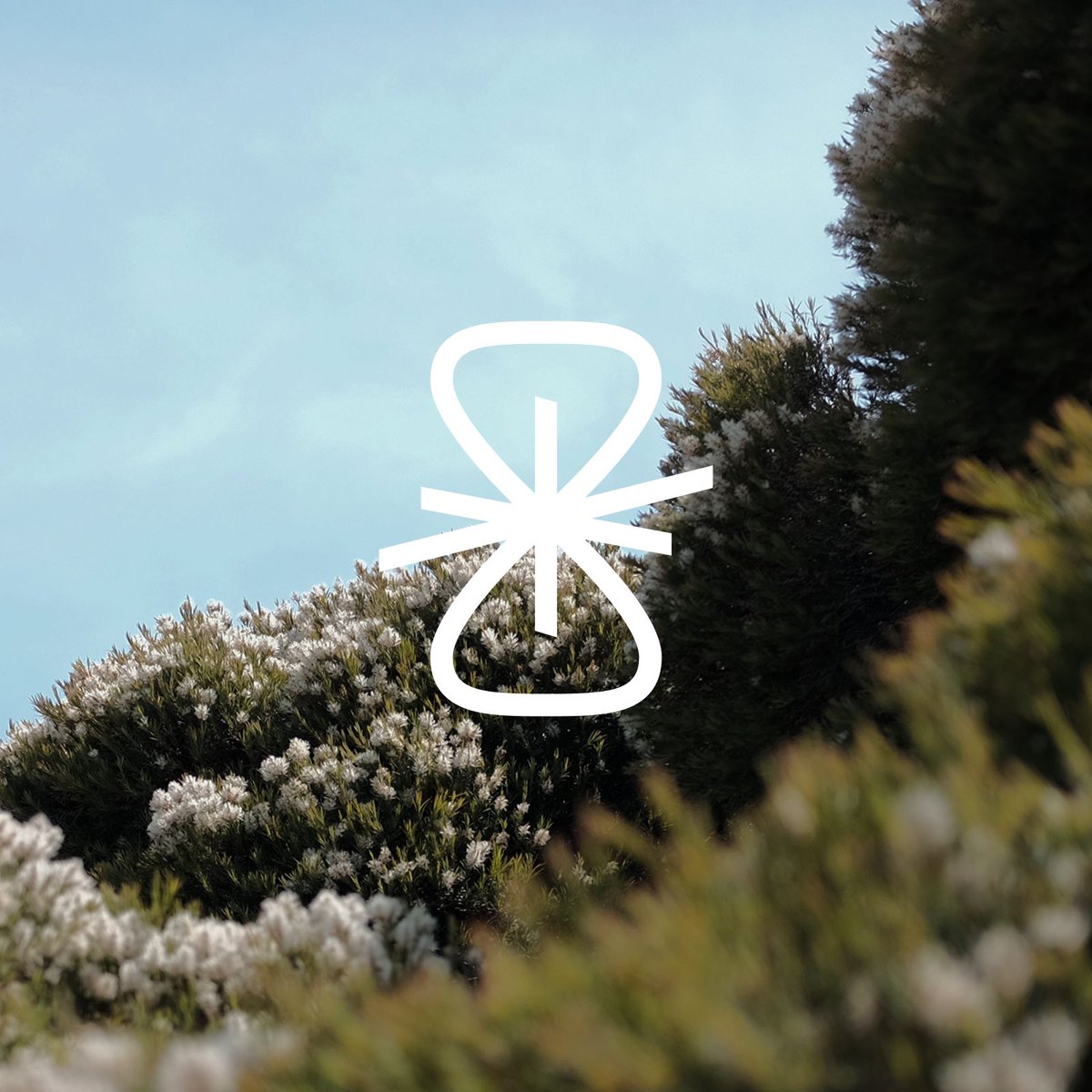 Science Corporation tweet media