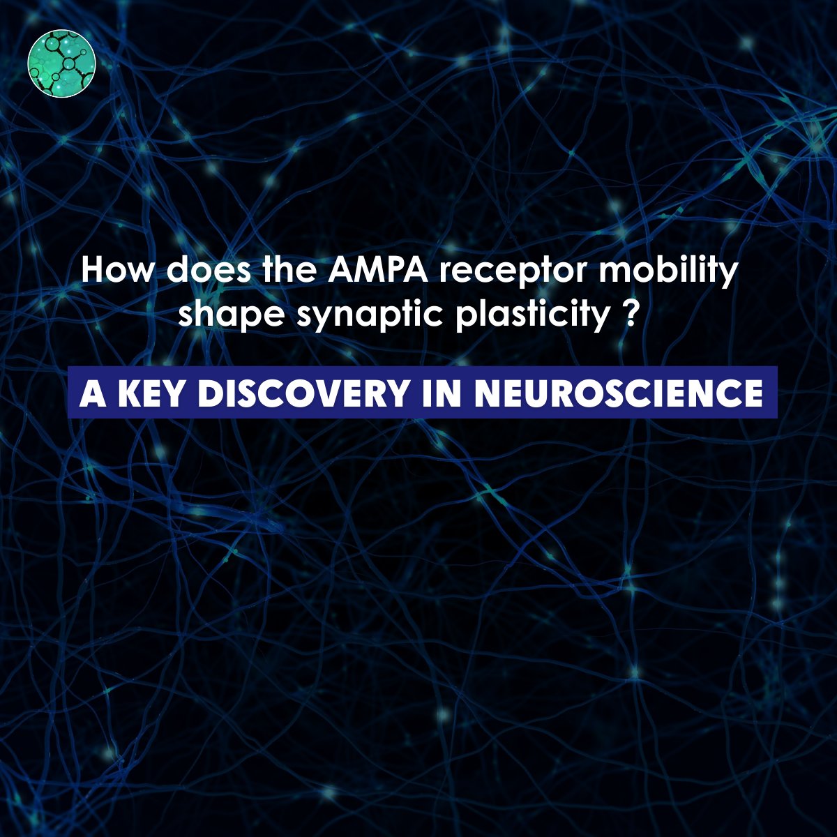 France-BioImaging Research Infrastructure tweet media