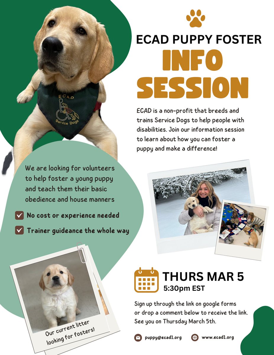 ECAD Service Dogs tweet media