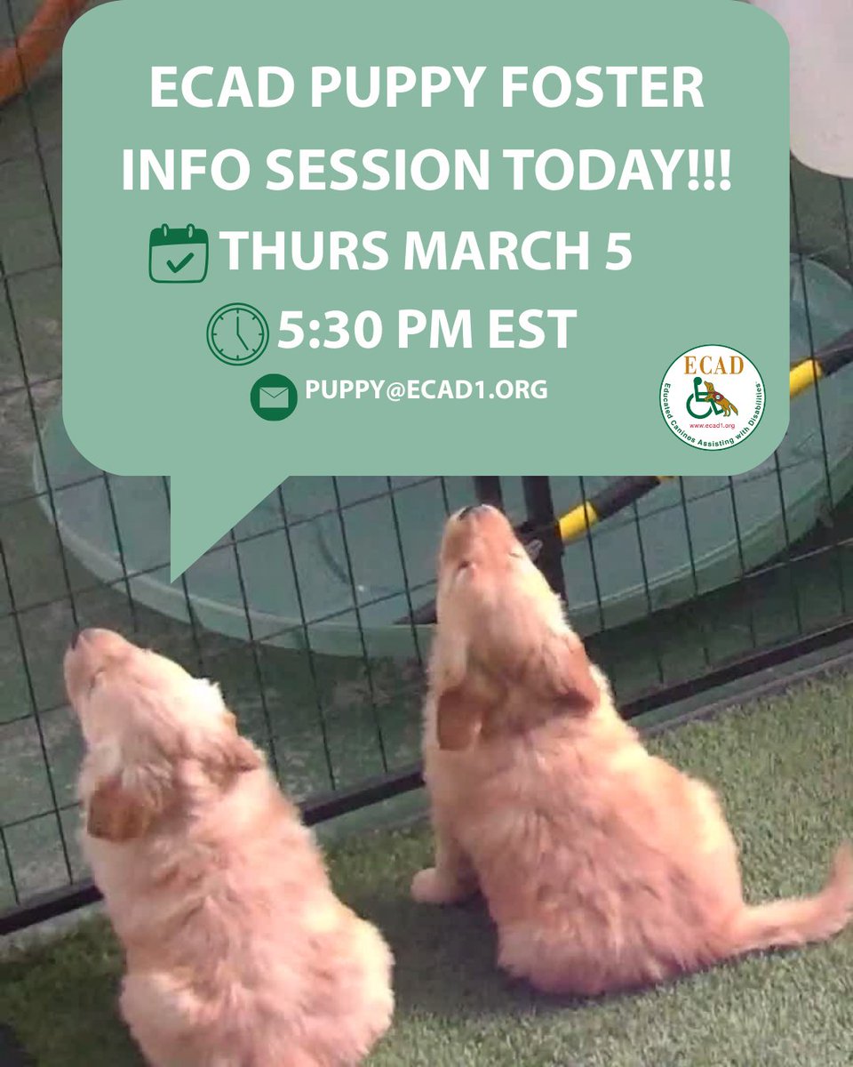 ECAD Service Dogs tweet media