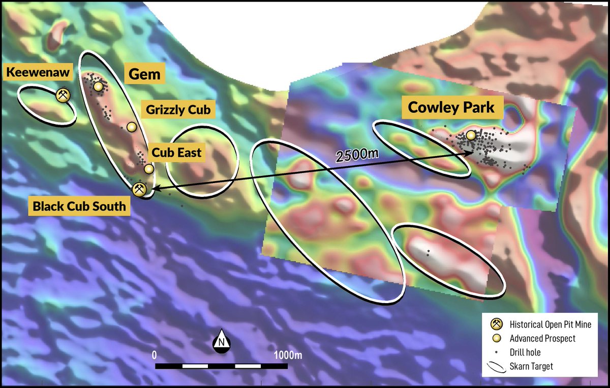 Gladiator Metals tweet media