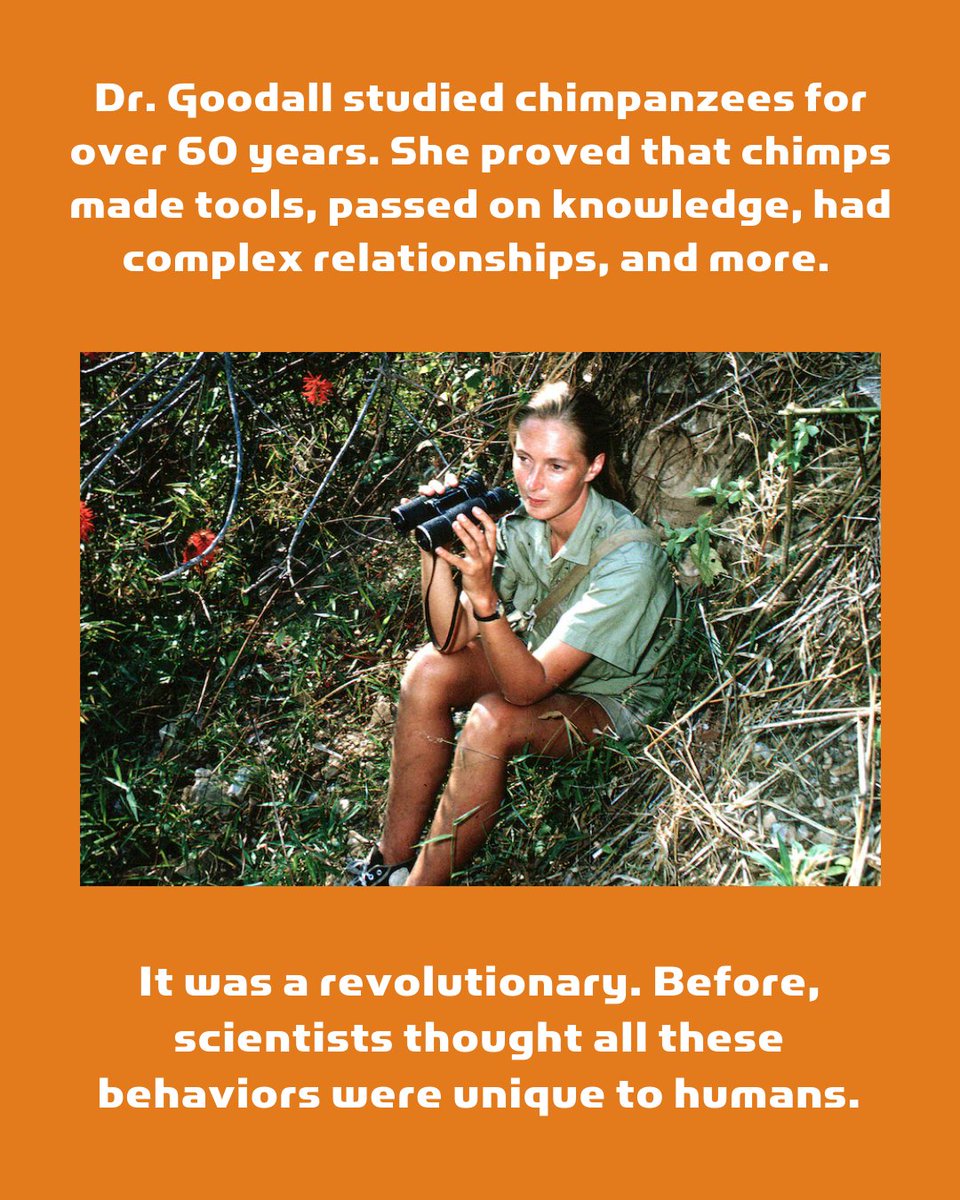 ChildrensSciCenter tweet media