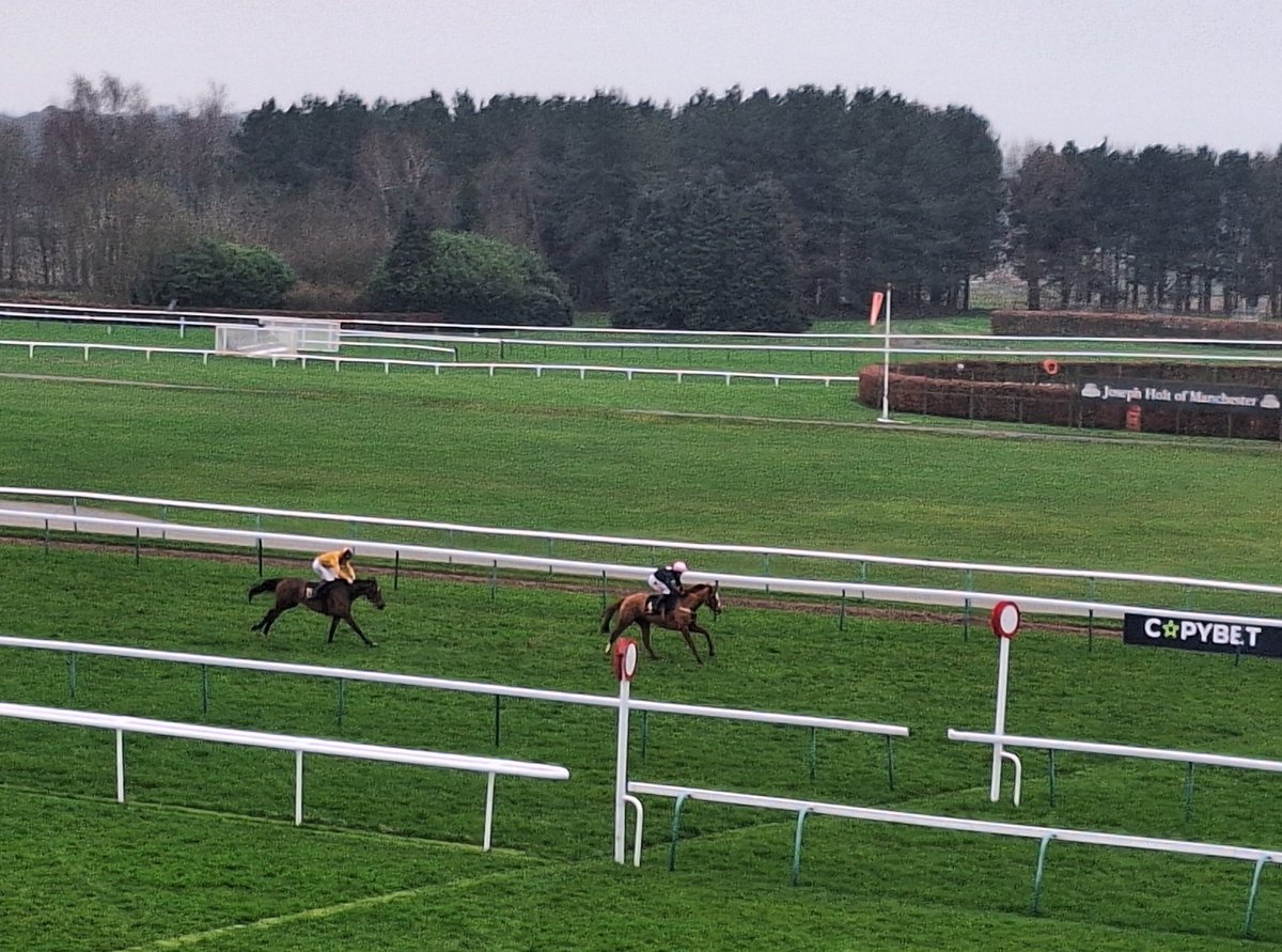 DavidB60553's tweet photo. First winner today. Heather Honey rode by Peter Kavanagh in the 3:50pm https://t.co/1sL7JpuZSH
