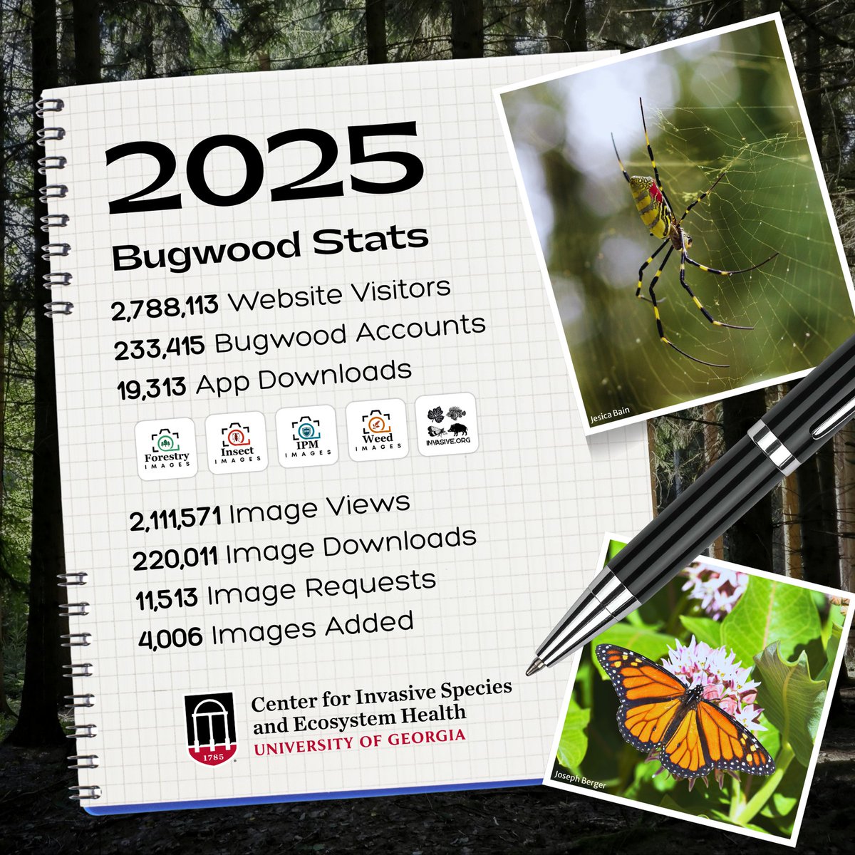 Bugwood's tweet photo. From 2.7 million website visitors to more than 950,000 EDDMapS reports, 2025 reflected the continued commitment of our partners, contributors, and community. Thank you for being part of the work. We look forward to what we will accomplish in 2026. https://t.co/3S2eQPYxPm