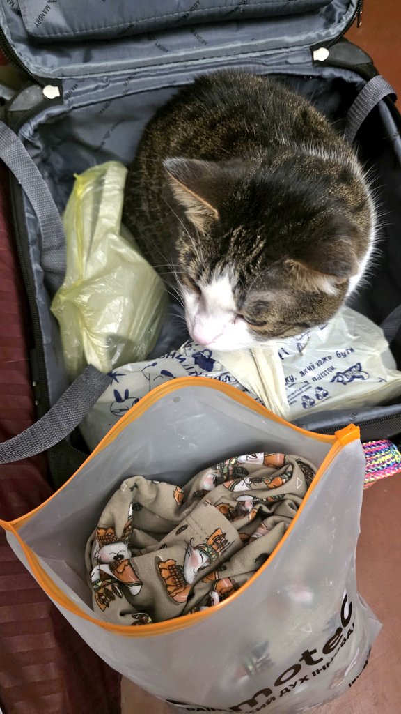 Tory Jam 🇺🇦🕊️ tweet media