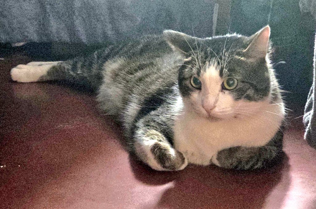 Tory Jam 🇺🇦🕊️ tweet media