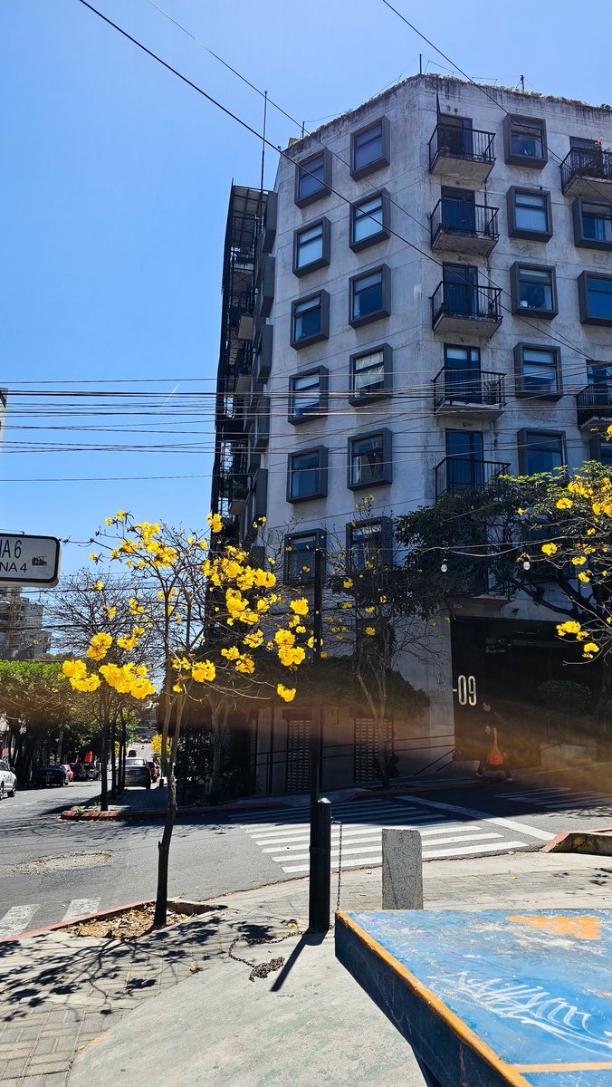 Beeshual tweet media