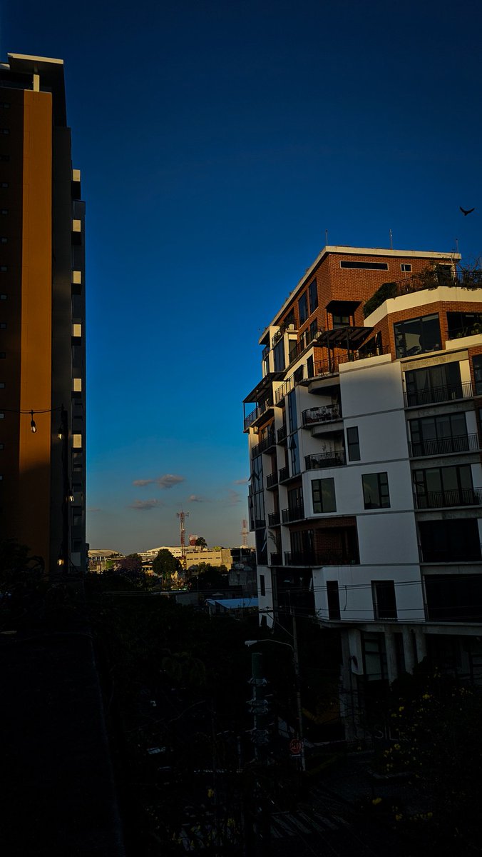 Beeshual tweet media