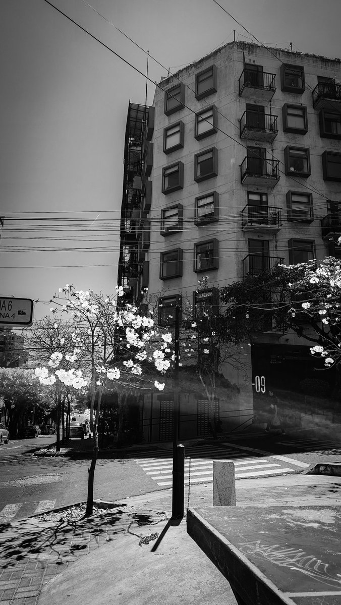 Beeshual tweet media