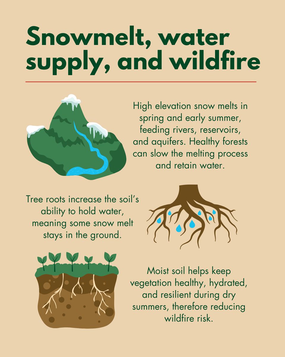 State Foresters tweet media