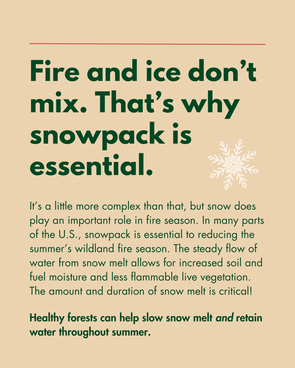 State Foresters tweet media