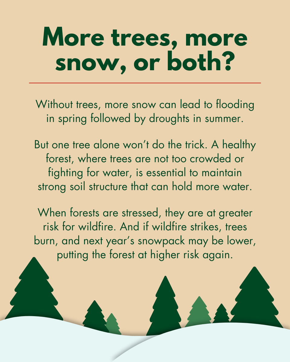 State Foresters tweet media