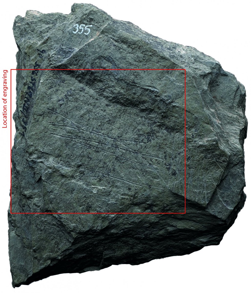 Underwater Cultural Heritage Of Stone Fish Weirs tweet media