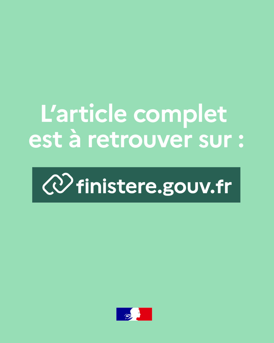 Préfet du Finistère tweet media
