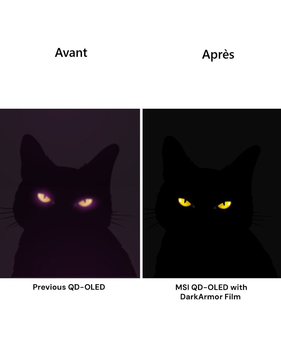 MSI France tweet media