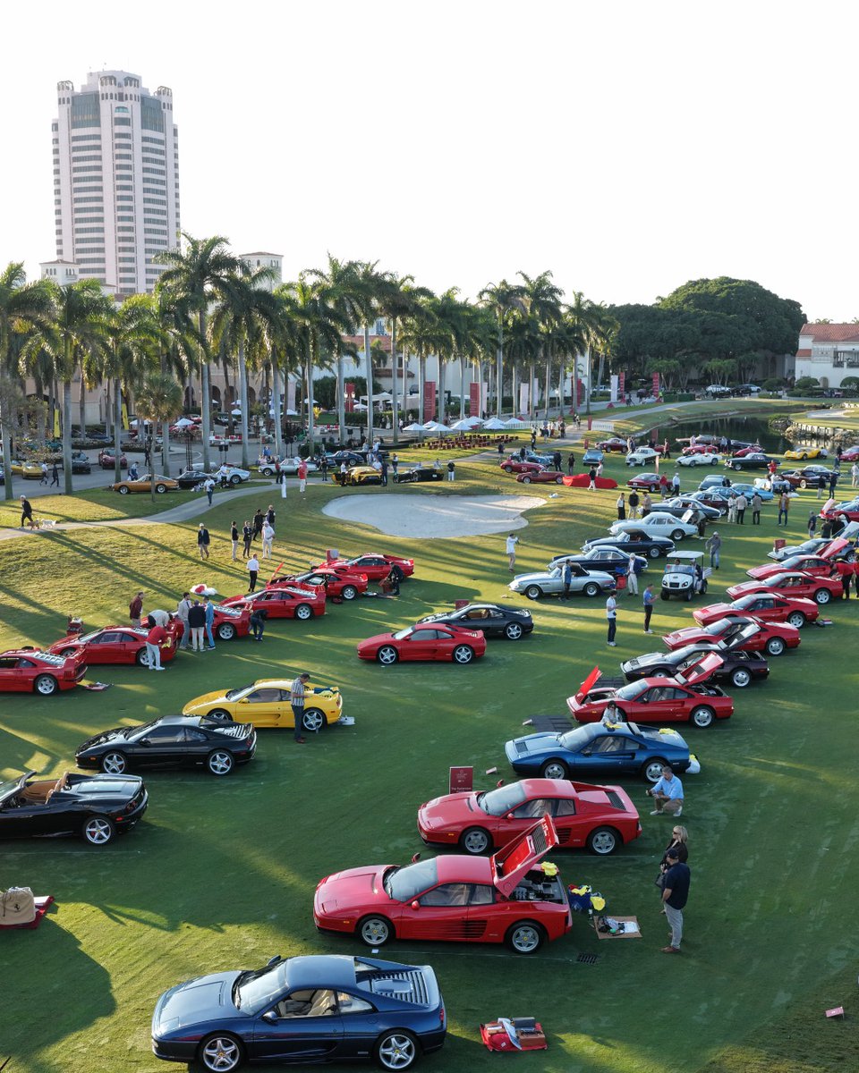 Petrolicious tweet media