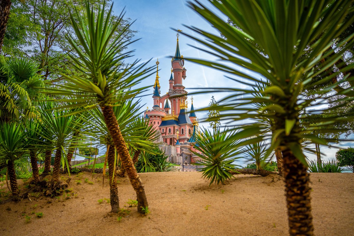 Disneyland Paris tweet media