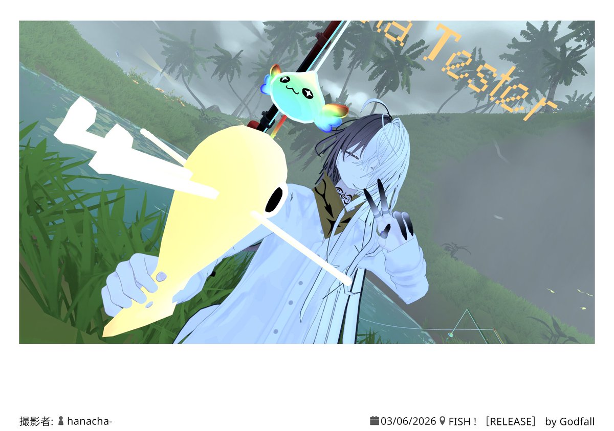 Gerbera. tweet media