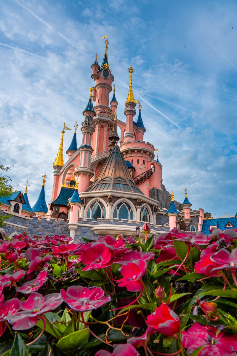 Disneyland Paris tweet media