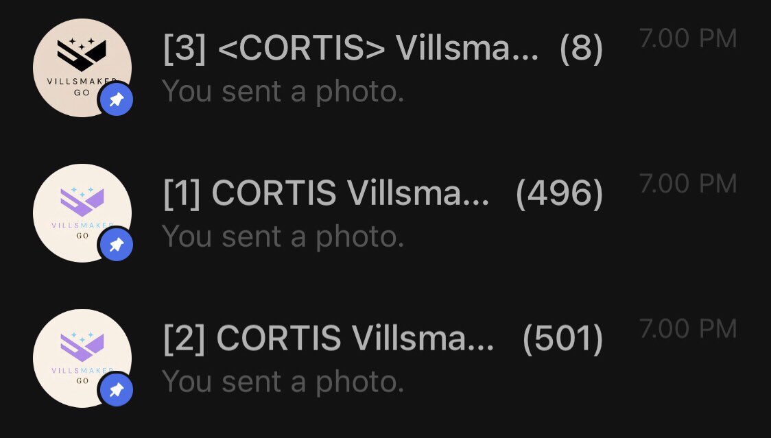 VillsmakerGO tweet media