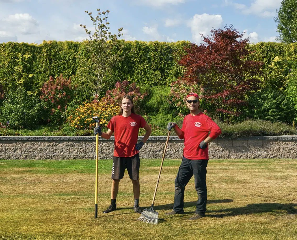 ATC Landscape tweet media