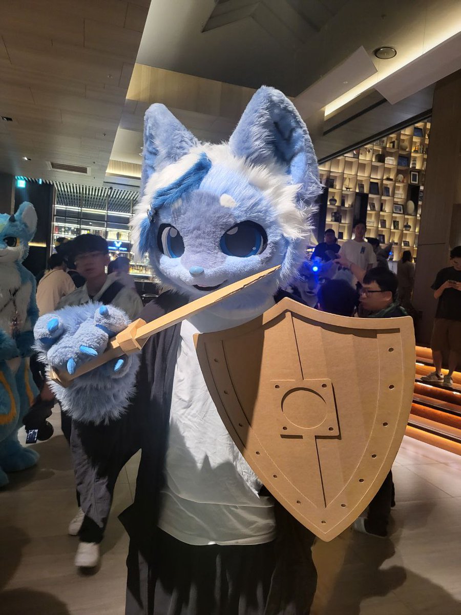 三次元乗貳貓 tweet media