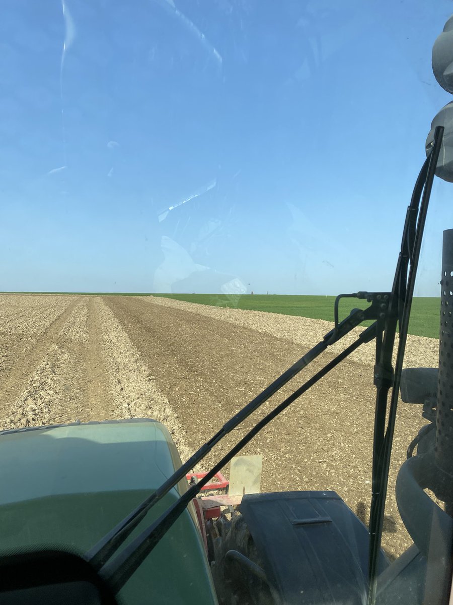 Guillaume LE POGAM 🪱🐝🐞🌾🌻🌽 tweet media