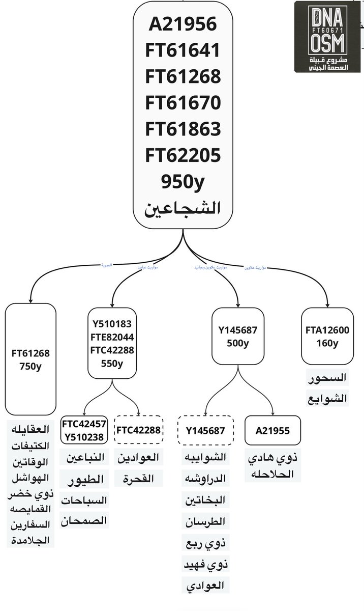 مشروع J1FT60671 الجيني 🧬 tweet media