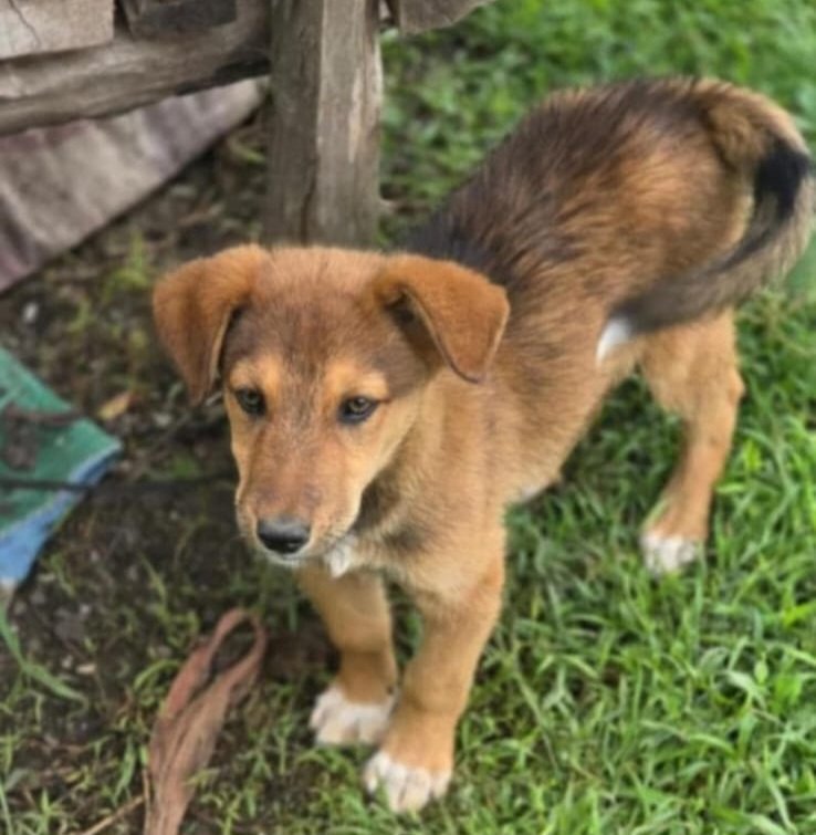 Maxwell Bosire tweet media